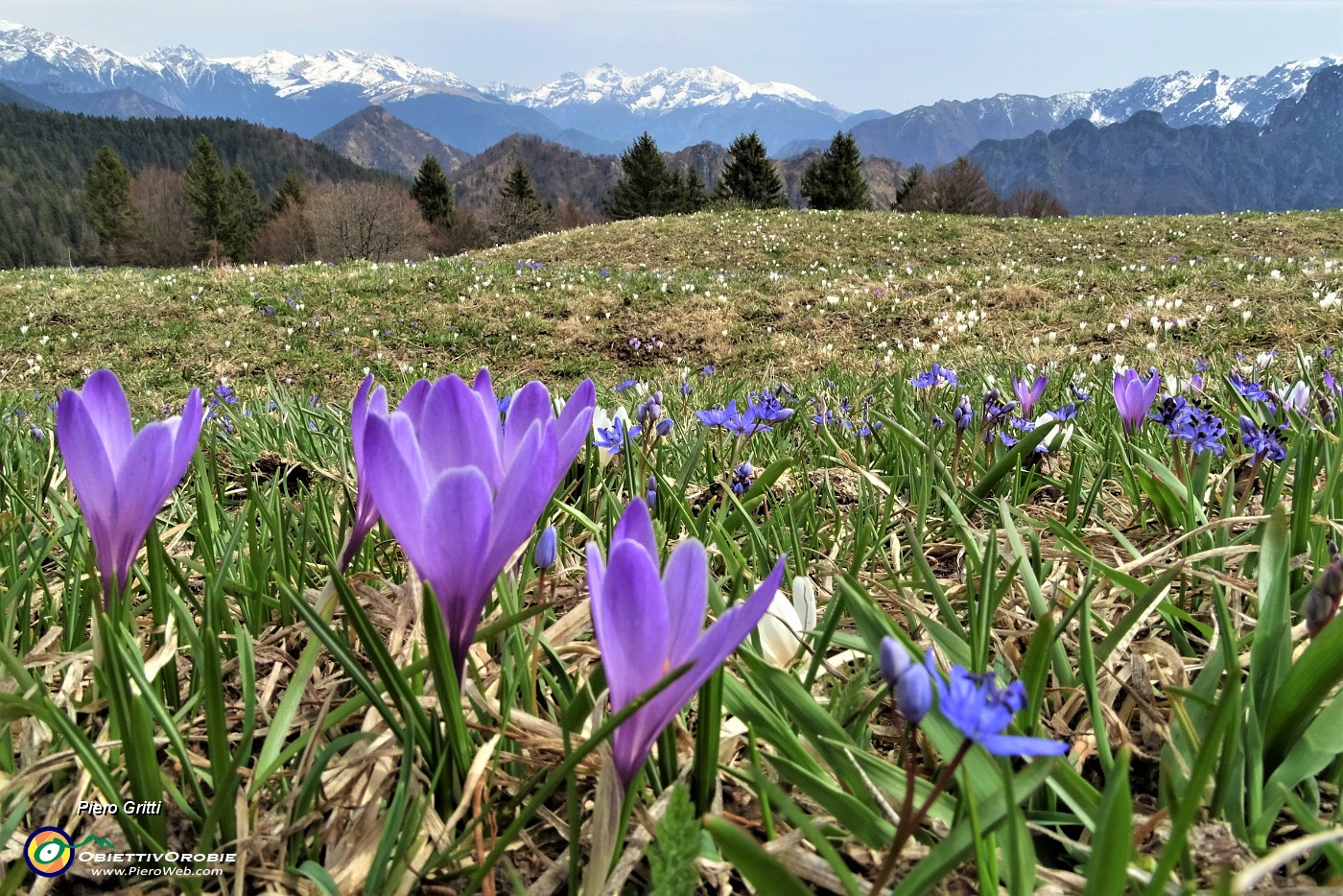 83 Lontano Pietra Quadra a sx, Arera e Menna a dx innevati.JPG